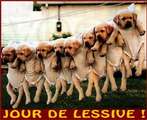 jour de lessive!